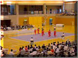 太極拳