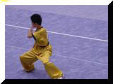 太極拳