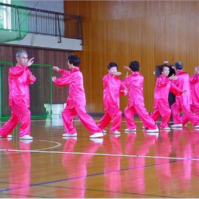 ねんりん徳島 群馬代表チーム