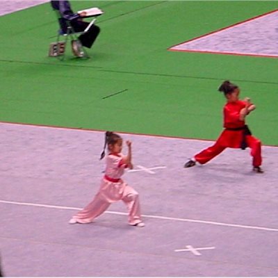 2003年全国大会 美咲起ちゃん