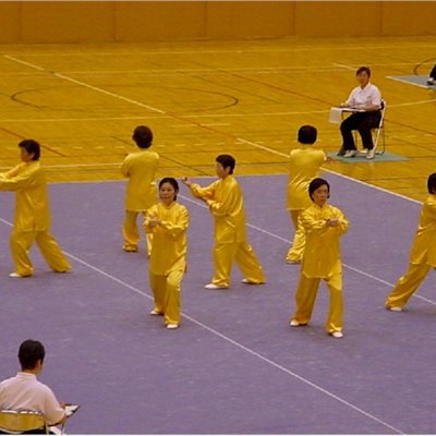 2003年群馬県富岡市 富岡ねんりんピック プレ大会(1)