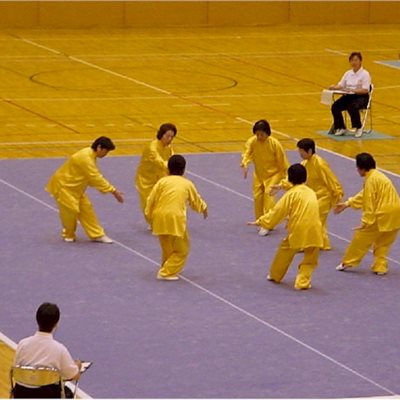 2003年群馬県富岡市 富岡ねんりんピック プレ大会(2)