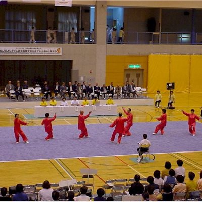 2003年群馬県富岡市 富岡ねんりんピック プレ大会(3)