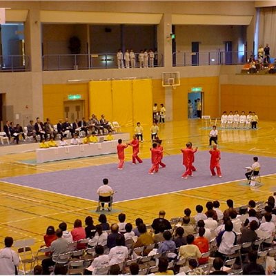 2003年群馬県富岡市 富岡ねんりんピック プレ大会(4)