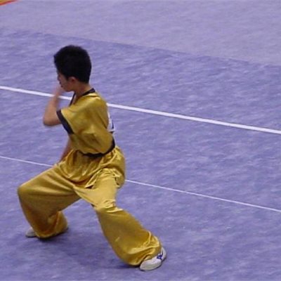 2004年JOC中学生長拳 武井克真君
