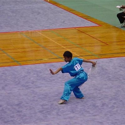 2004年JOC男子長拳短器械 河村直哉君