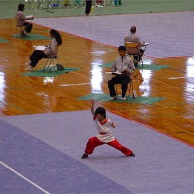 2004年JOC女子パンダ長拳