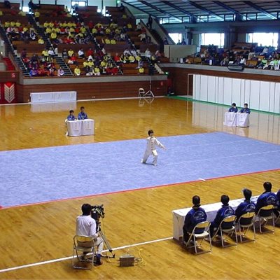 50代の部 群馬県代表 福島千代子選手 オリジナルNO03 の表演服です