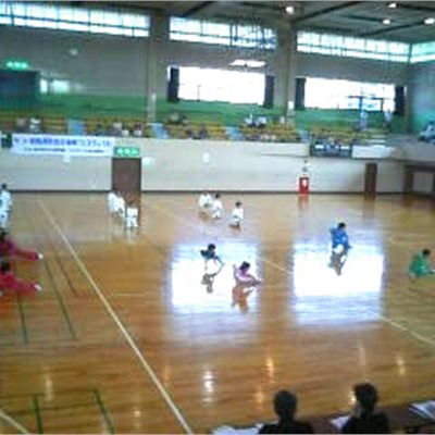 2006群馬県フェスティバル