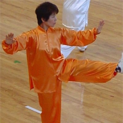 2月22日ぐんま武道館にて 2009群馬県武術太極拳選手権大会が開催されました。