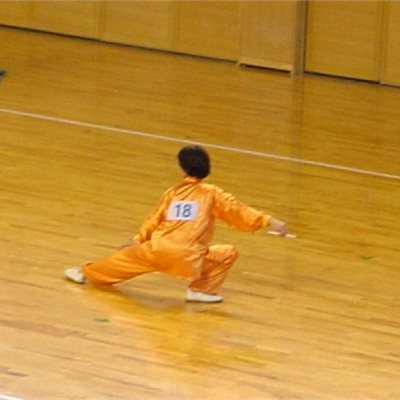 2月22日ぐんま武道館にて 2009群馬県武術太極拳選手権大会が開催されました。
