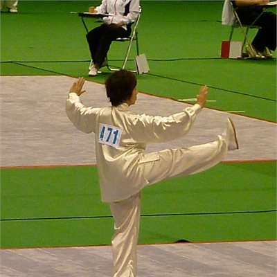 「女子楊式太極拳・群馬県代表」N選手 5位入賞おめでとうございます!