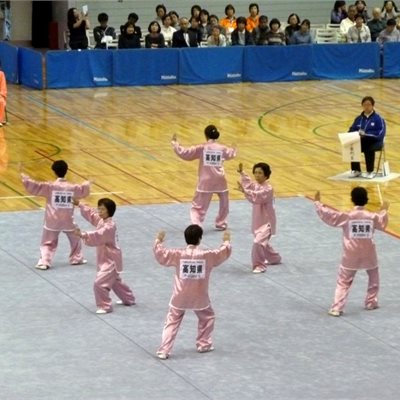 太極拳を始めて3年とは思えない すばらしい演武です