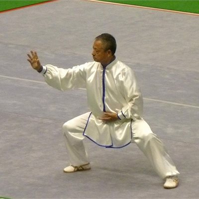 「第32回全日本武術太極拳選手権大会」 「男子陳式太極拳」 館林市在住の太極拳仲間Kさん。 目標の8.6まであと少しです!