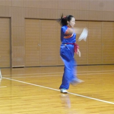 群馬県協会主催第14回武術太極拳競技大会 Y選手の「九節鞭」です。早くてシャッターが間に合わない!!!!