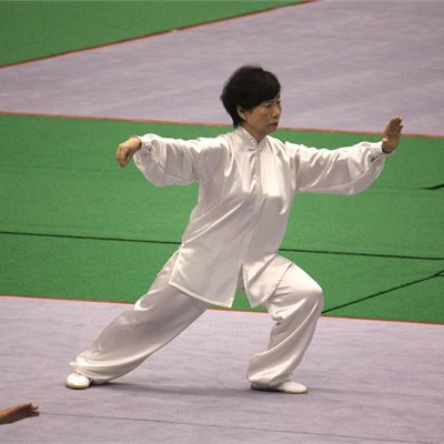 第33回全日本大会 女子楊式太極拳の部毎年順位を上げている群馬県協会のN選手です 。