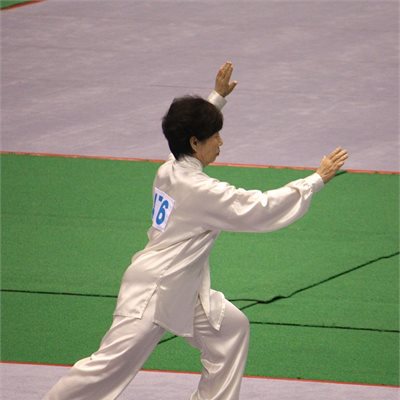 第33回全日本大会 落ち着いた流れるような演武です 。
