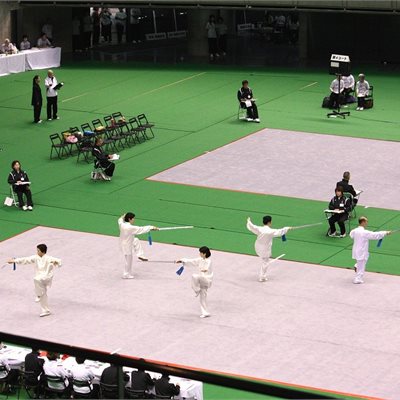 第33回全日本大会 群馬県代表チームの皆さんの「自選剣」です白の表演服に青の房が綺麗ですね 。