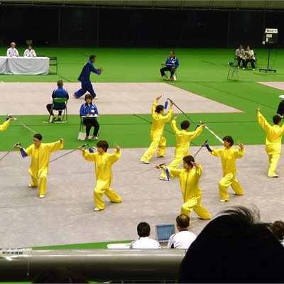 大会の花「集団」の部 和歌山県代表チームの皆さんです。 黄色い蝶が舞い飛ぶような美しい太極剣の演武です! 7位おめでとうございます!