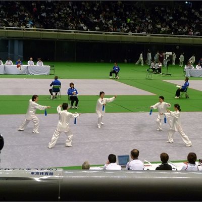 群馬県代表チームの「自選太極剣」です。 白の表演服にブルーの総が美しいです。 白の地色にグレーの上品な色合いの雲形のデザインです。