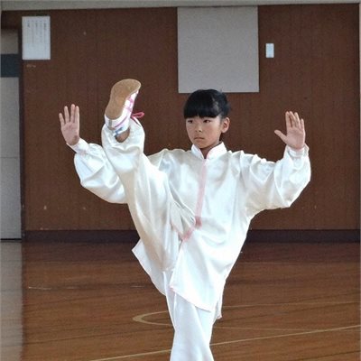 「第13回北関東ブロックジュニア大会」 女子ジュニア太極拳1の部で第2位の菜摘ちゃんです。 脚上がるなぁ・・・