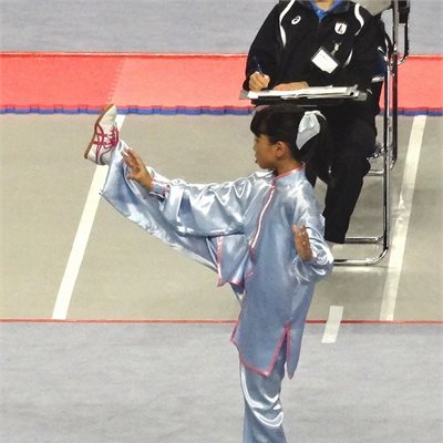 「第３５回全日本武術太極拳選手権大会」 「女子総合太極拳Ｃ］の部、初出場の菜摘ちゃんです！ 多分、最年少だと思いますが堂々の演武です。 脚が上がるなぁ・・・。