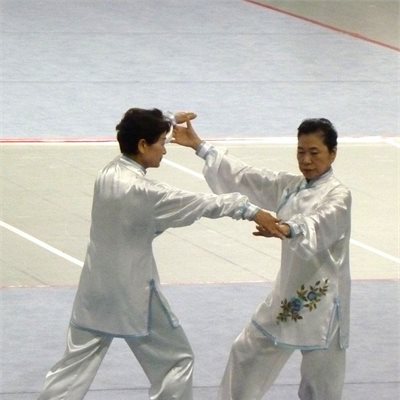 「第35回全日本武術太極拳選手権大会」 「太極拳推手」群馬県代表T選手とS選手です。 オリジナルの表演服を着ていただきました! 初出場ながら息の合った演武です。