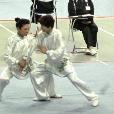 「第35回全日本武術太極拳選手権大会」 「太極拳推手」群馬県代表T選手とS選手です。 オリジナルの表演服を着ていただきました! 初出場ながら息の合った演武です。