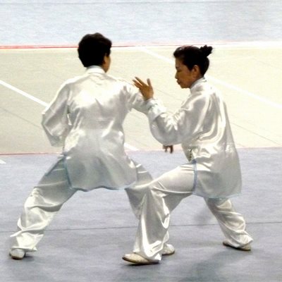 「第35回全日本武術太極拳選手権大会」 「太極拳推手」群馬県代表T選手とS選手です。 オリジナルの表演服を着ていただきました! 初出場ながら息の合った演武です。