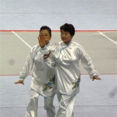 「第35回全日本武術太極拳選手権大会」 「太極拳推手」群馬県代表T選手とS選手です。 オリジナルの表演服を着ていただきました! 初出場ながら息の合った演武です。