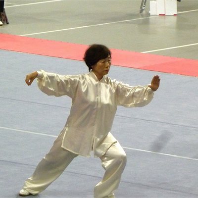 「第35回全日本武術太極拳選手権大会」 「女子楊式太極拳」群馬県のエース奈良橋選手 今年は優勝が懸かっています。 毎年の事ですが堂々とした落ち着いた演武です。
