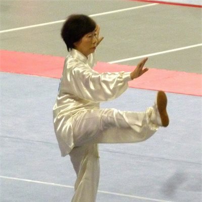 「第35回全日本武術太極拳選手権大会」 「女子楊式太極拳」群馬県のエース奈良橋選手 今年は優勝が懸かっています。 毎年の事ですが堂々とした落ち着いた演武です。