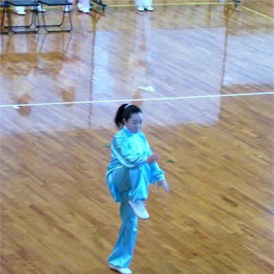 2019年2月3日「群馬県武術太極拳選手権大会」 ぐんまアリーナにて開催されました。