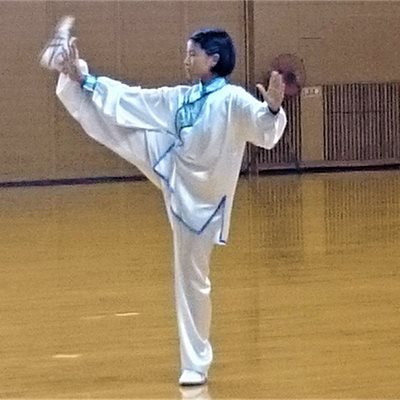 第15回北関東ブロックジュニア 武術太極拳大会 「規定総合太極拳」1位の 菜摘ちゃんの特別演舞です