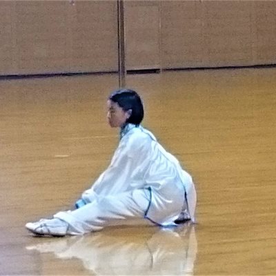 第15回北関東ブロックジュニア 武術太極拳大会 「規定総合太極拳」1位の 菜摘ちゃんの特別演舞です