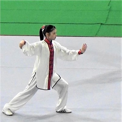 「第40回全日本武術太極拳選手権大会」 菜摘ちゃんも自分でデザインした表演服で参加しました。